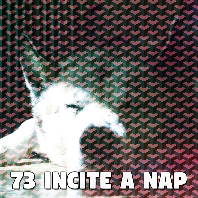73 Incite a Nap