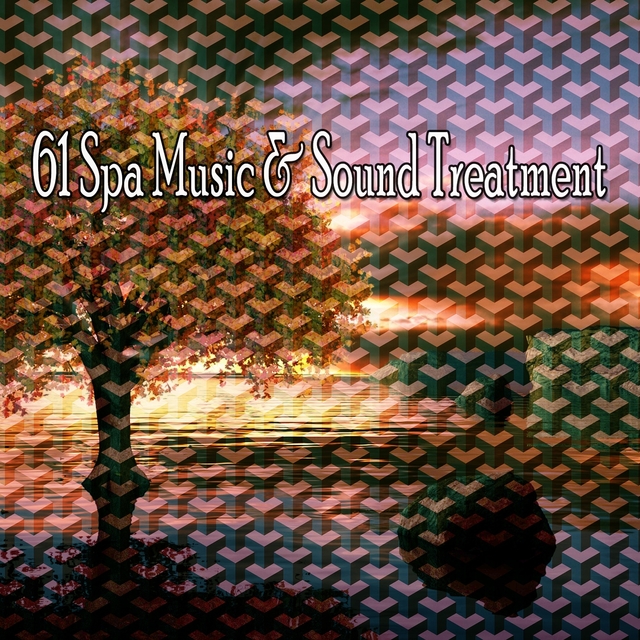 Couverture de 61 Spa Music & Sound Treatment