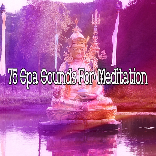 75 Spa Sounds for Meditation