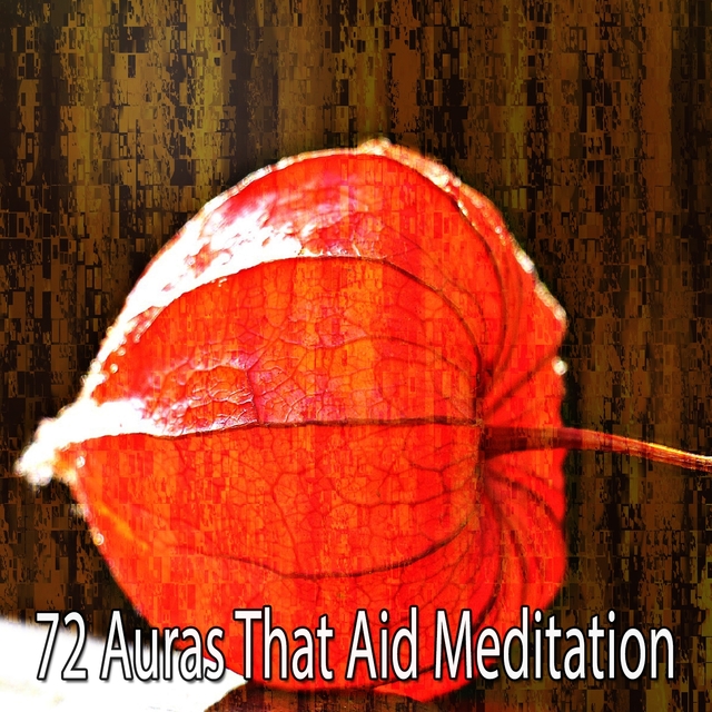 Couverture de 72 Auras That Aid Meditation