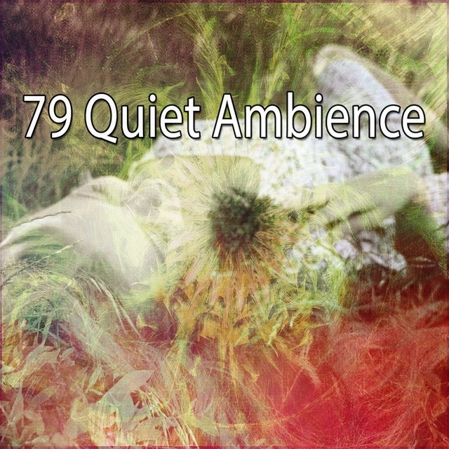 Couverture de 79 Quiet Ambience