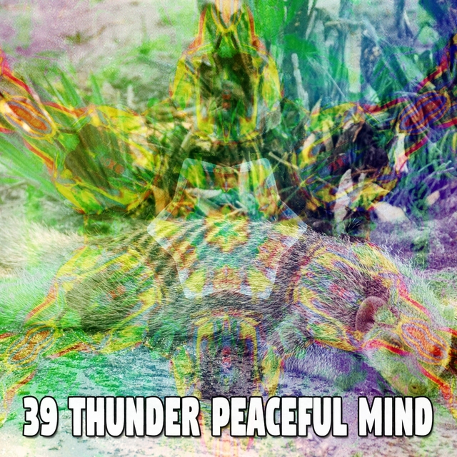 39 Thunder Peaceful Mind