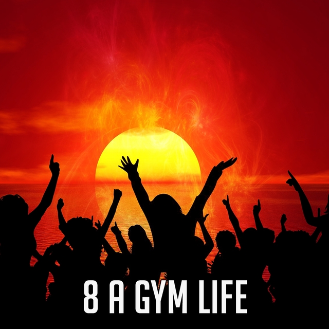 8 A Gym Life