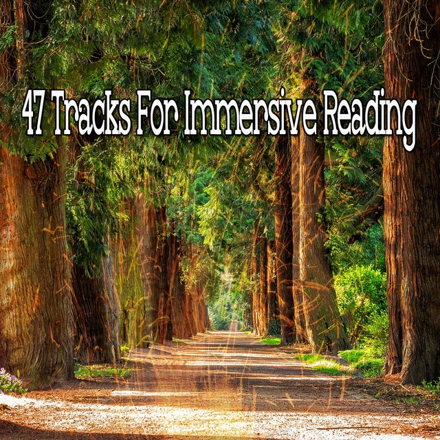 47 Tracks for Immersive Reading