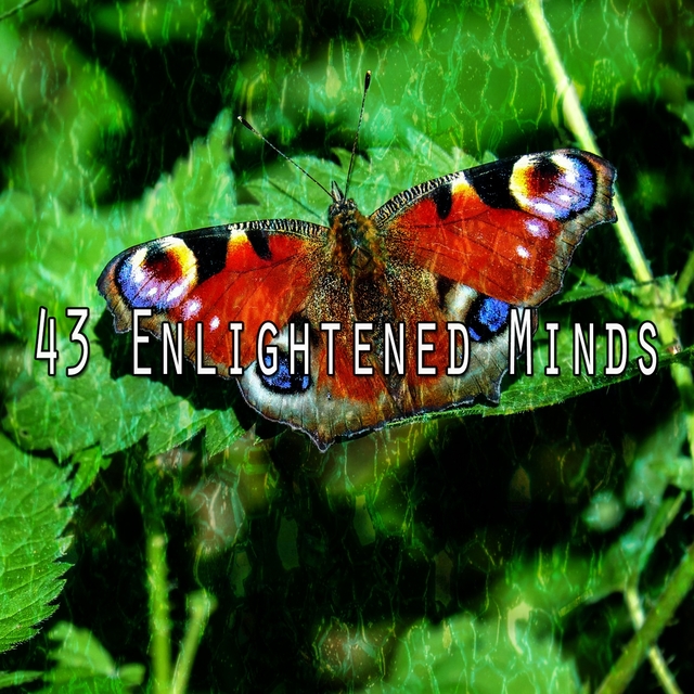 Couverture de 43 Enlightened Minds