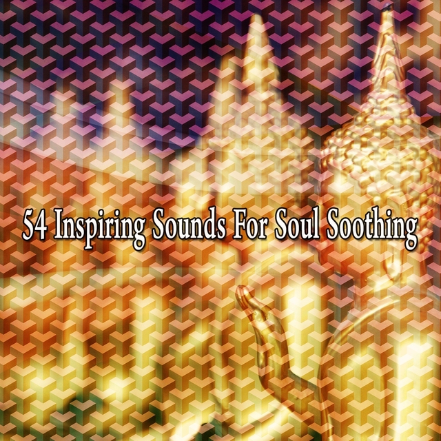 Couverture de 54 Inspiring Sounds for Soul Soothing