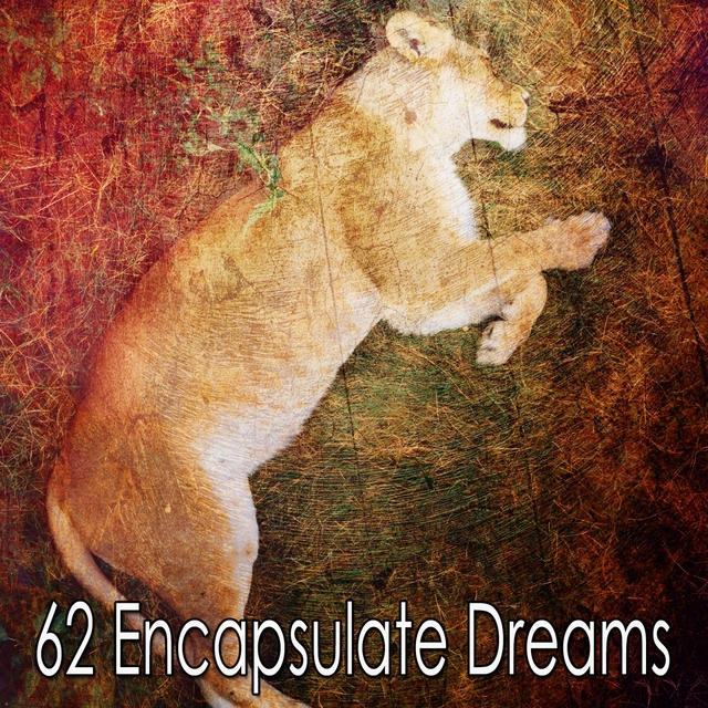 62 Encapsulate Dreams