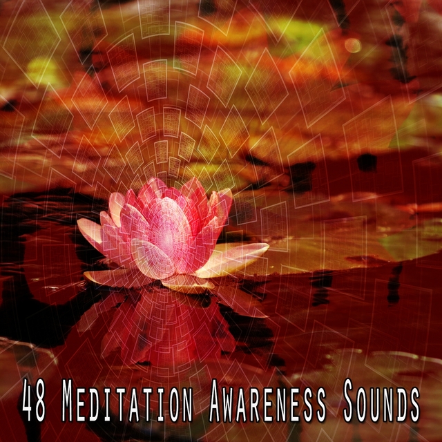 48 Meditation Awareness Sounds