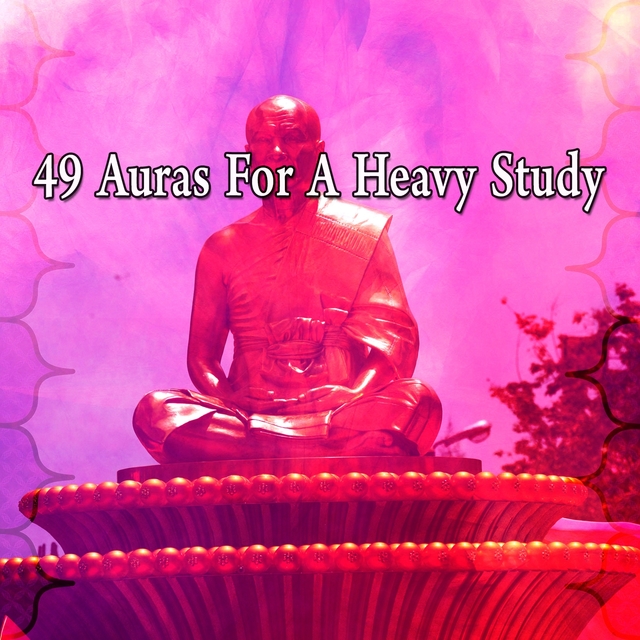 Couverture de 49 Auras for a Heavy Study