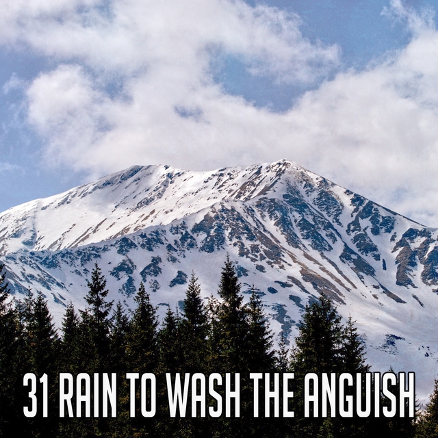 Couverture de 31 Rain to Wash the Anguish