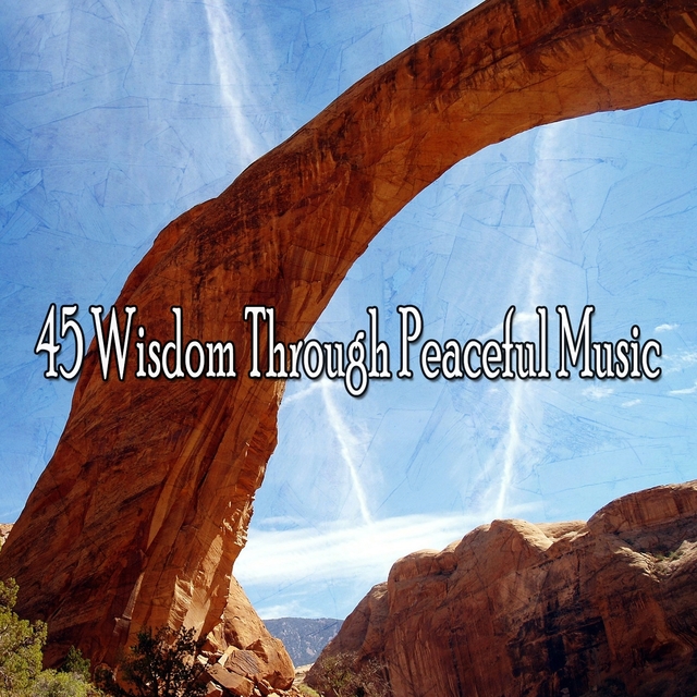 45 Wisdom Through Peaceful Music