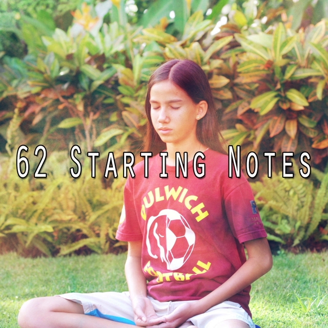 Couverture de 62 Starting Notes