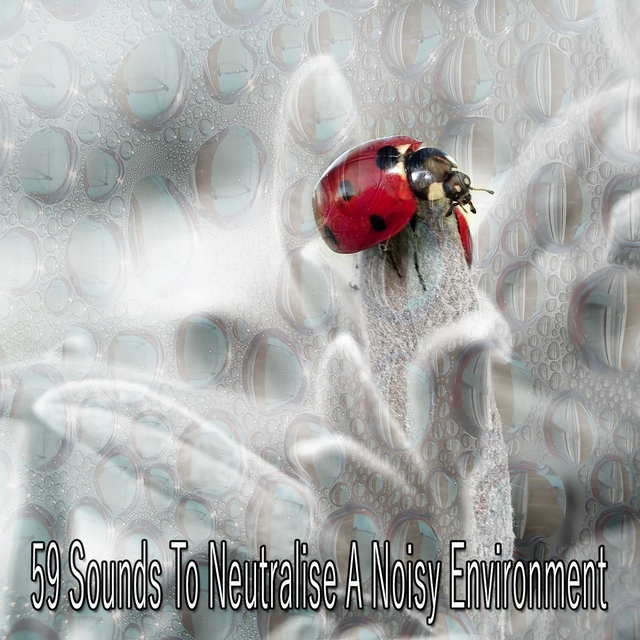 Couverture de 59 Sounds to Neutralise a Noisy Environment