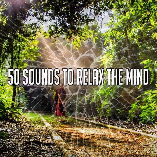 50 Sounds to Relax the Mind