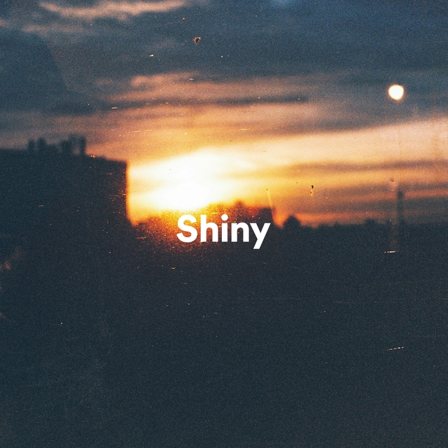 Couverture de Shiny