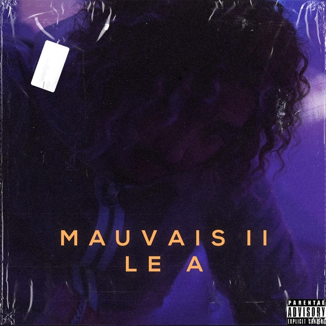 Couverture de Mauvais II