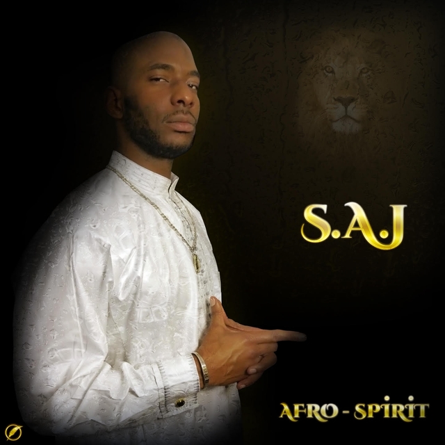 Couverture de Afro spirit