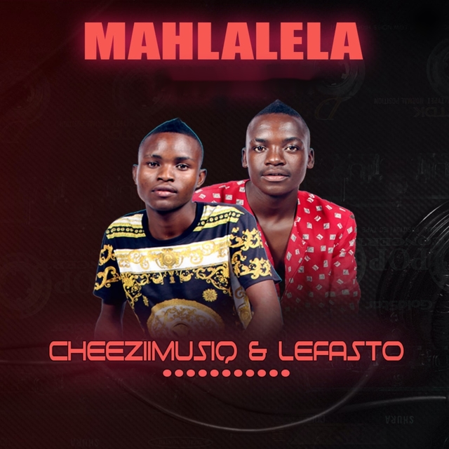 Couverture de Mahlalela