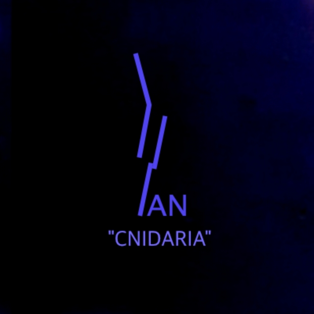 Cnidaria