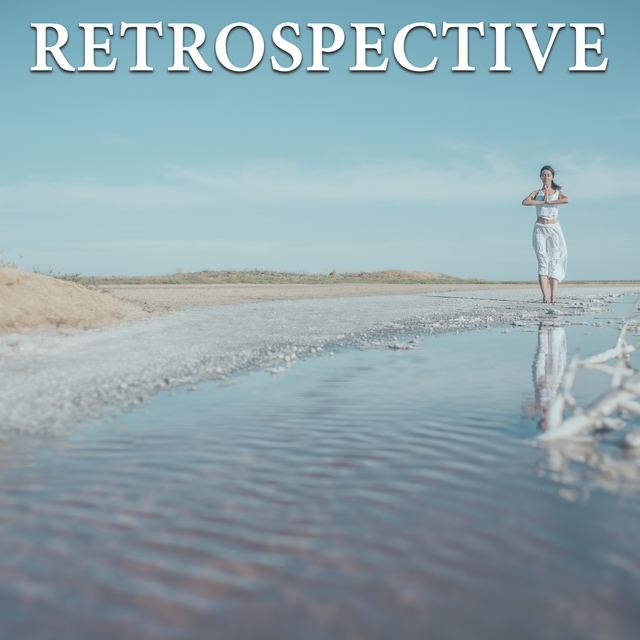 Couverture de Retrospective