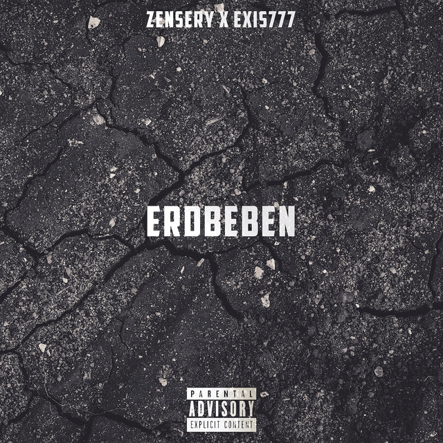 Couverture de Erdbeben