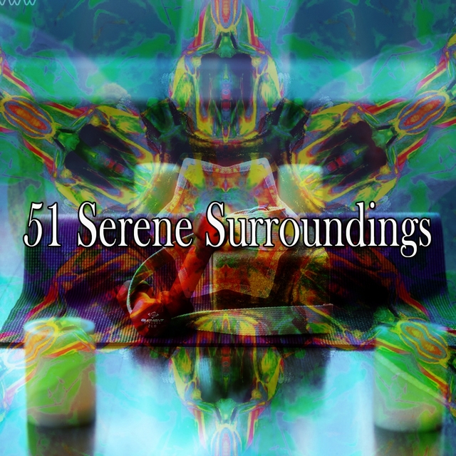 Couverture de 51 Serene Surroundings