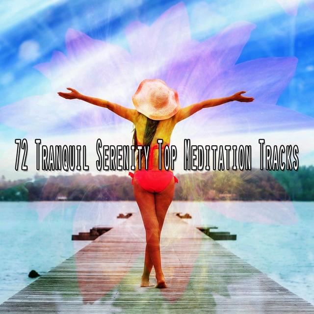 72 Tranquil Serenity Top Meditation Tracks