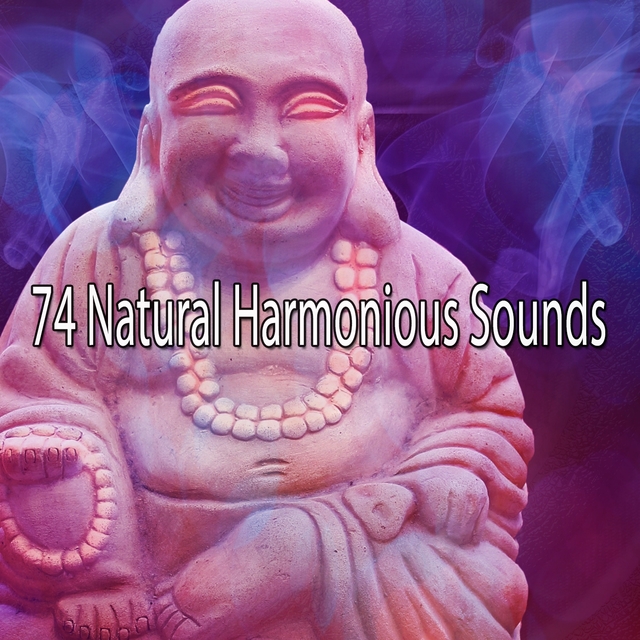 Couverture de 74 Natural Harmonious Sounds