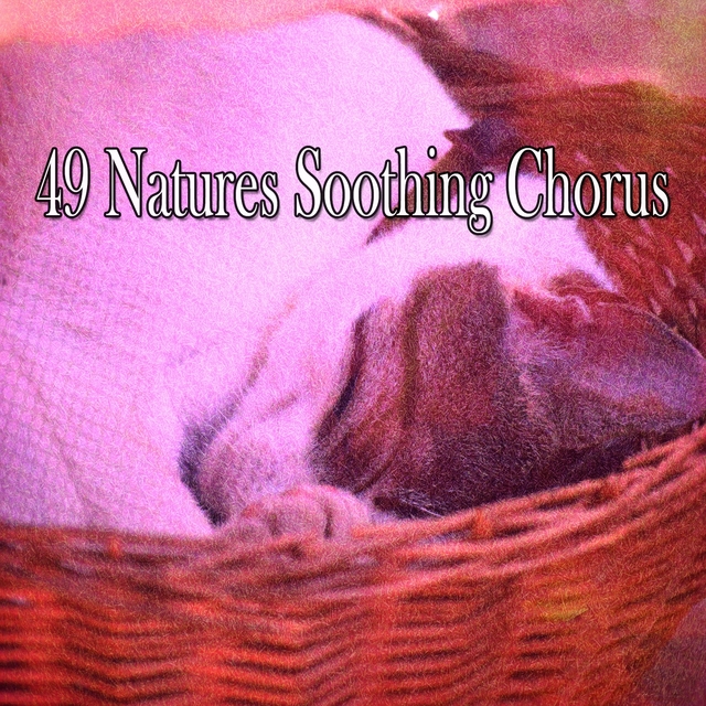 49 Natures Soothing Chorus