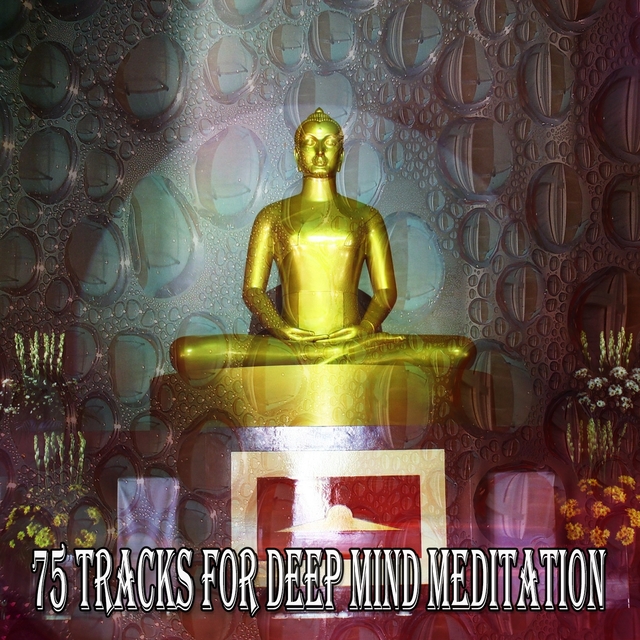 Couverture de 75 Tracks for Deep Mind Meditation