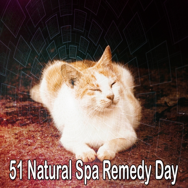 51 Natural Spa Remedy Day