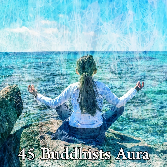 Couverture de 45 Buddhists Aura