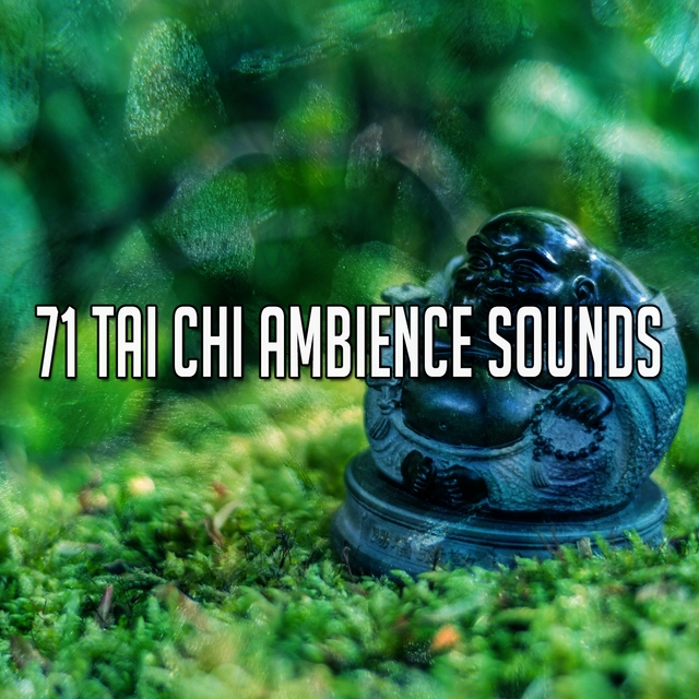 71 Tai Chi Ambience Sounds