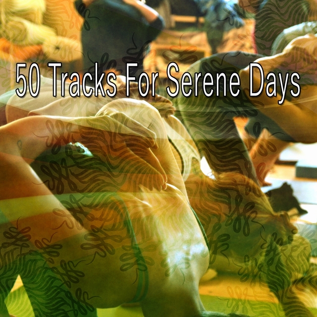 50 Tracks for Serene Days