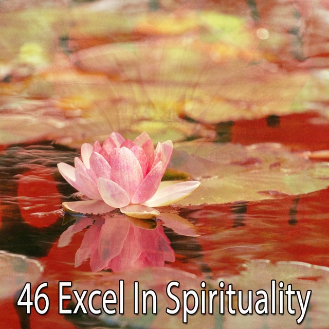 46 Excel in Spirituality