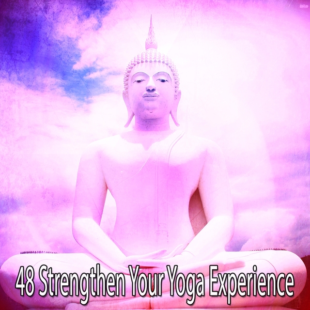 48 Strengthen Your Yoga Experience