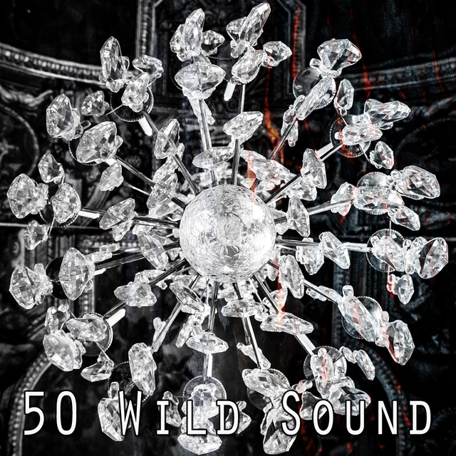 Couverture de 50 Wild Sound