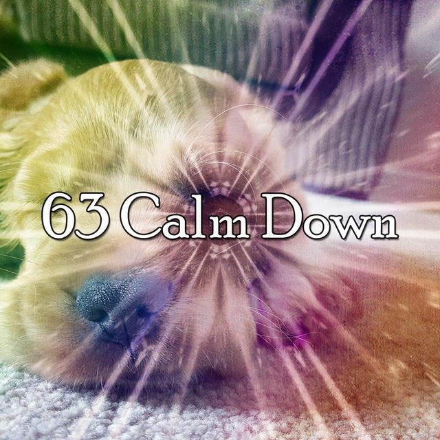 Couverture de 63 Calm Down