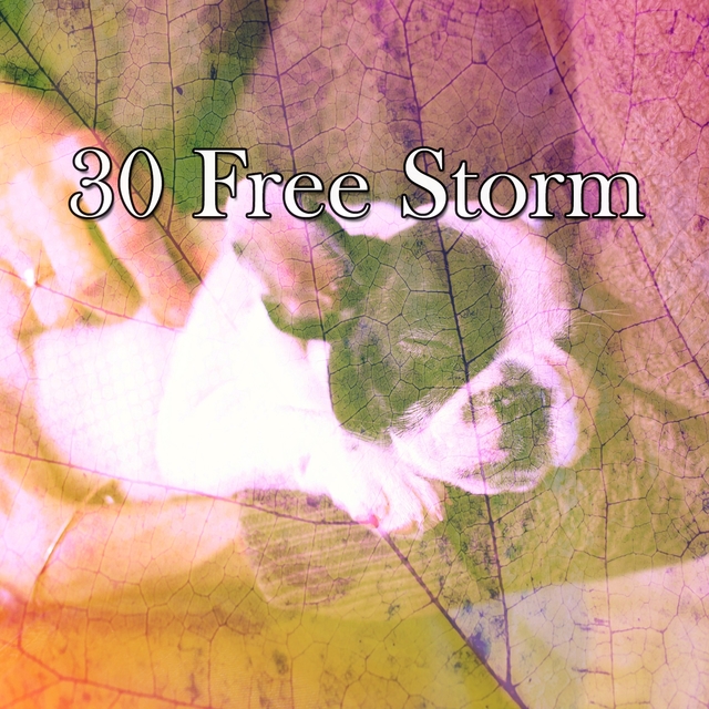 Couverture de 30 Free Storm