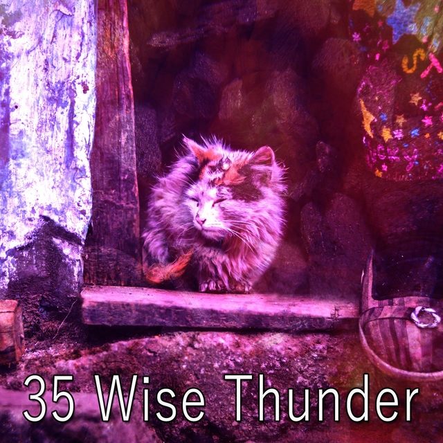 35 Wise Thunder