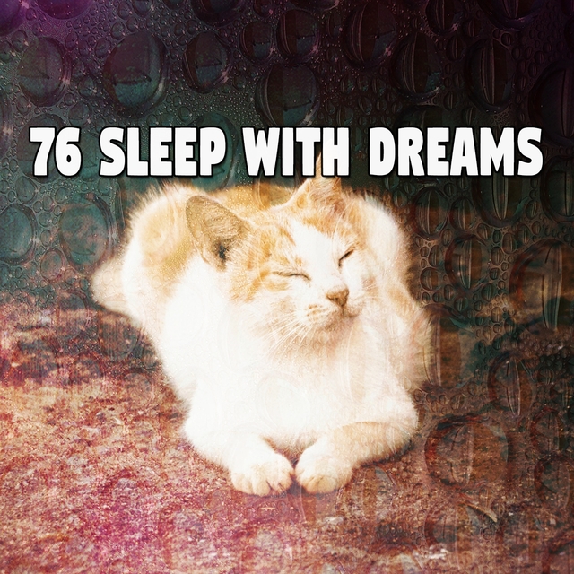 Couverture de 76 Sleep with Dreams