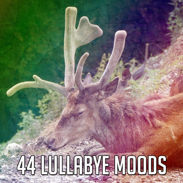 Couverture de 44 Lullabye Moods