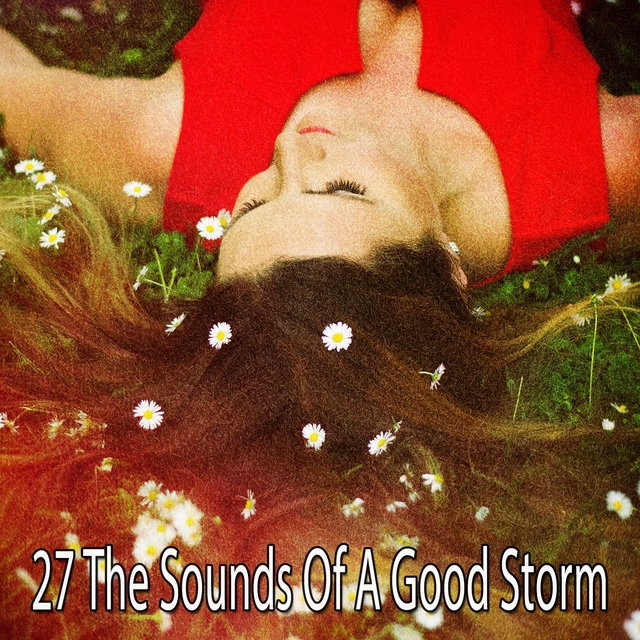 Couverture de 27 The Sounds of a Good Storm