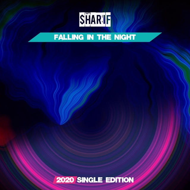 Couverture de Falling in the Night