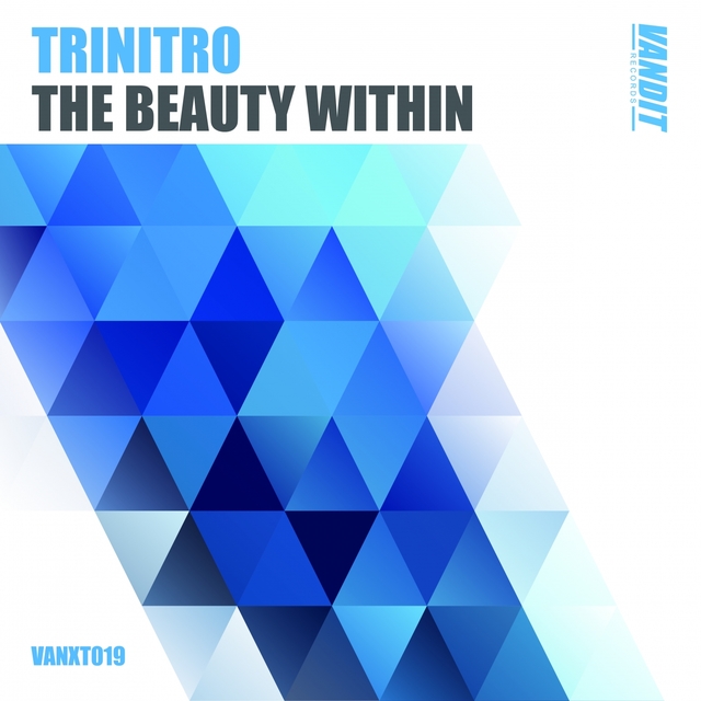 Couverture de The Beauty Within