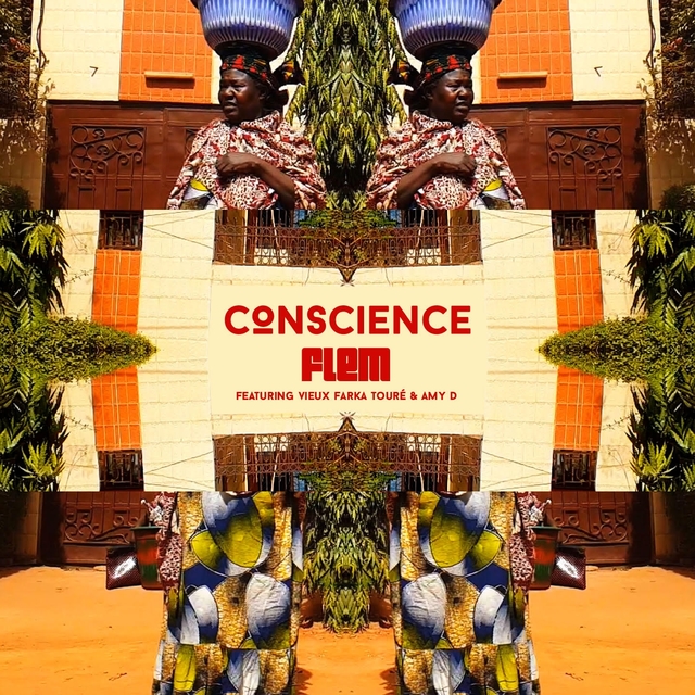 Couverture de Conscience