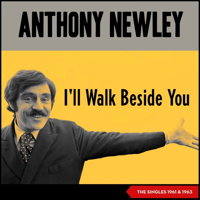 Couverture de I'll Walk Beside You