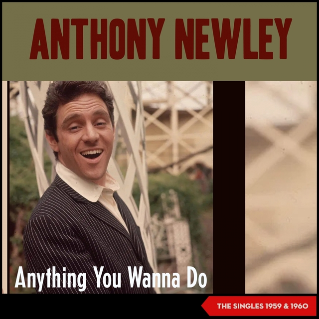 Couverture de Anything You Wanna Do