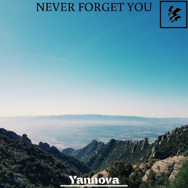 Couverture de Never Forget You