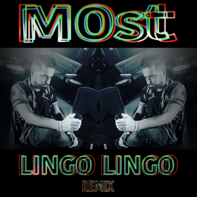 Couverture de Lingo Lingo